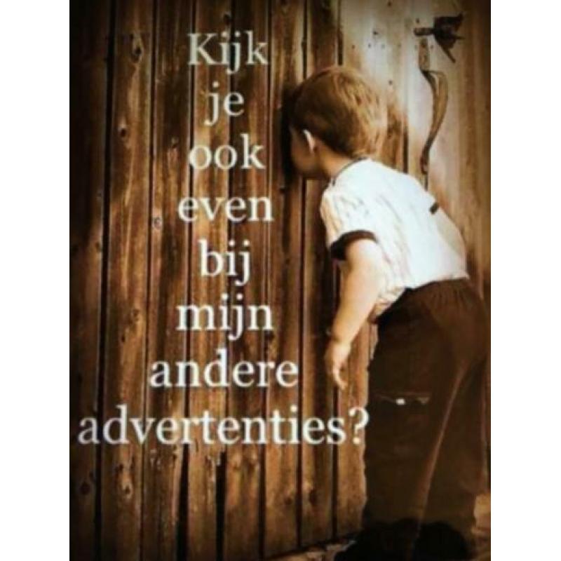 Oude fruittest