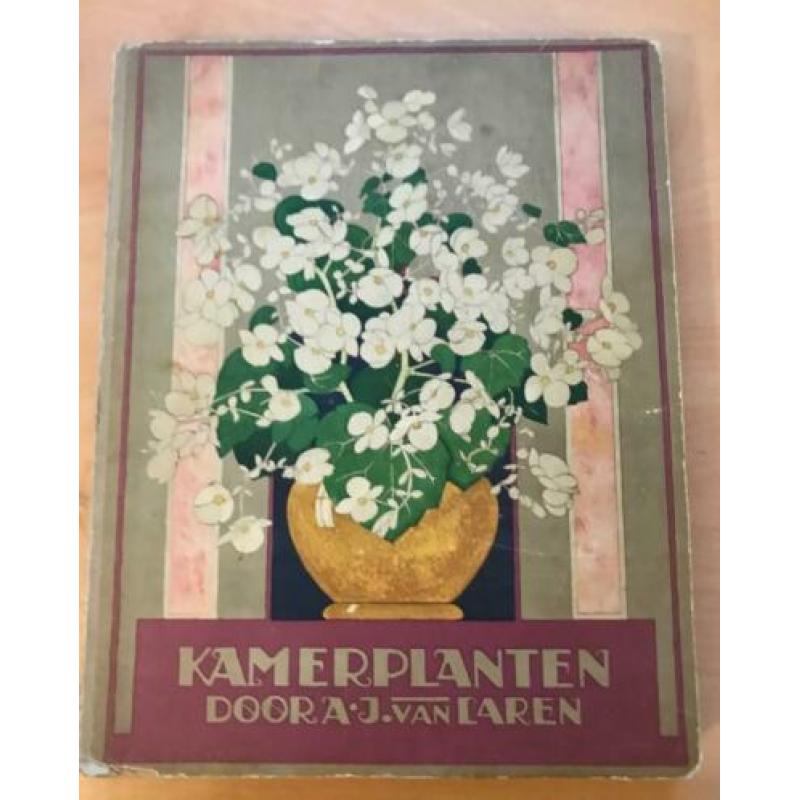 Boek Kamerplanten - 1928 - A.J. van Laren - Oorspronkelijk