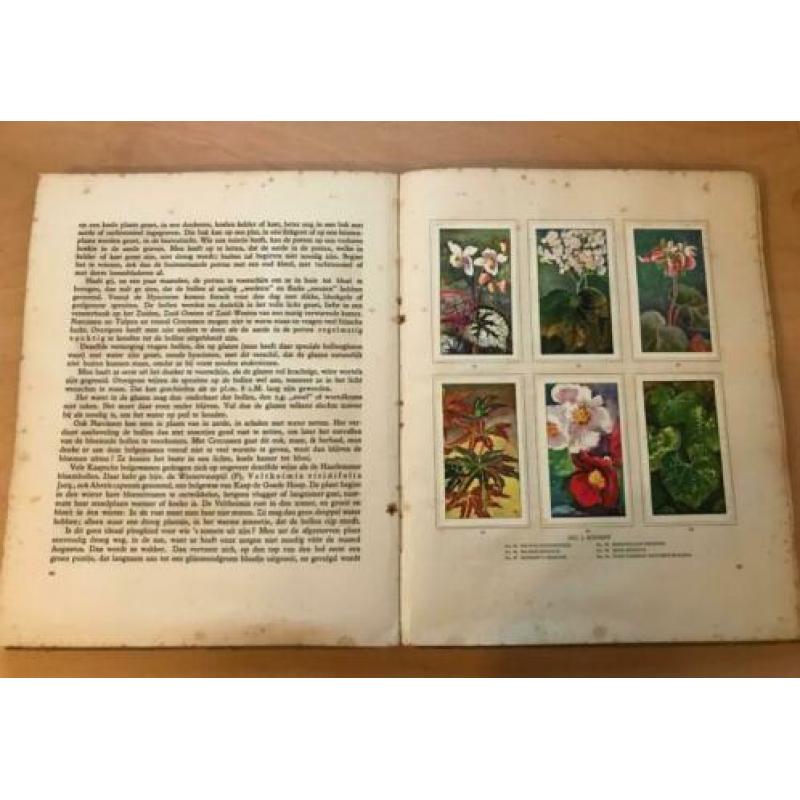 Boek Kamerplanten - 1928 - A.J. van Laren - Oorspronkelijk