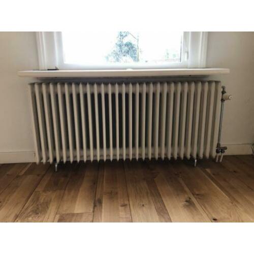 Brugman kolom/ledenradiatoren kleur Ral 9016