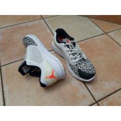 Nike air Jordan maat 40,5