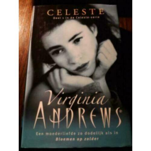 dk1 CELESTE - ZWARTE KAT - VIRGINIA ANDREWS
