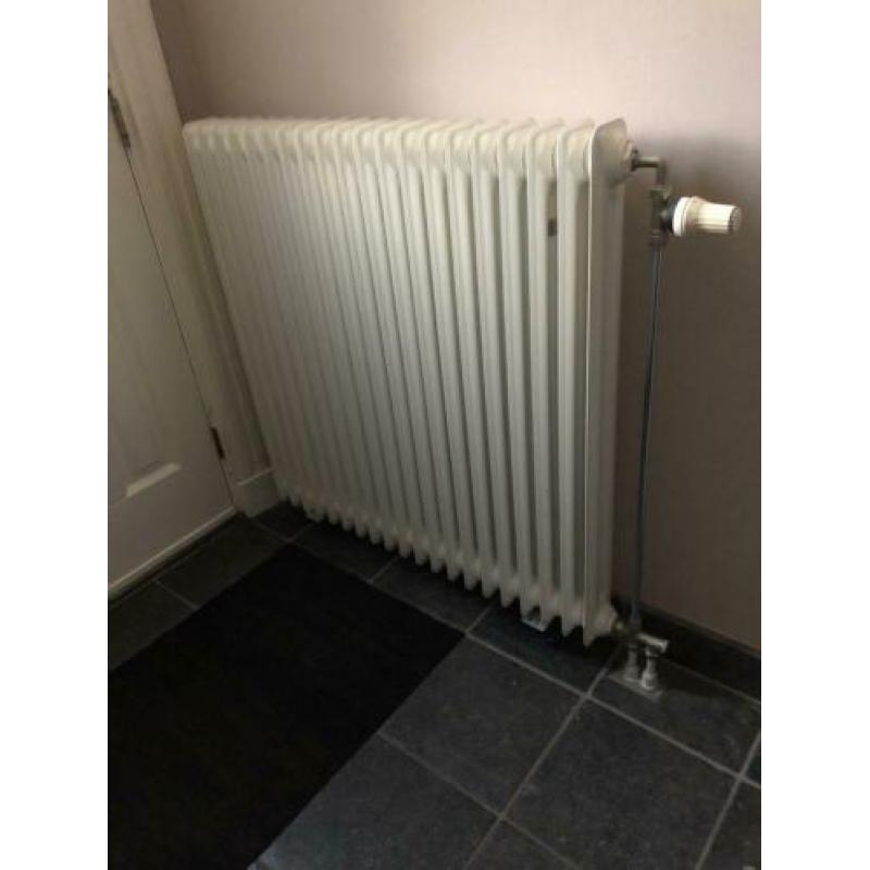 Brugman kolom/ledenradiatoren kleur Ral 9016