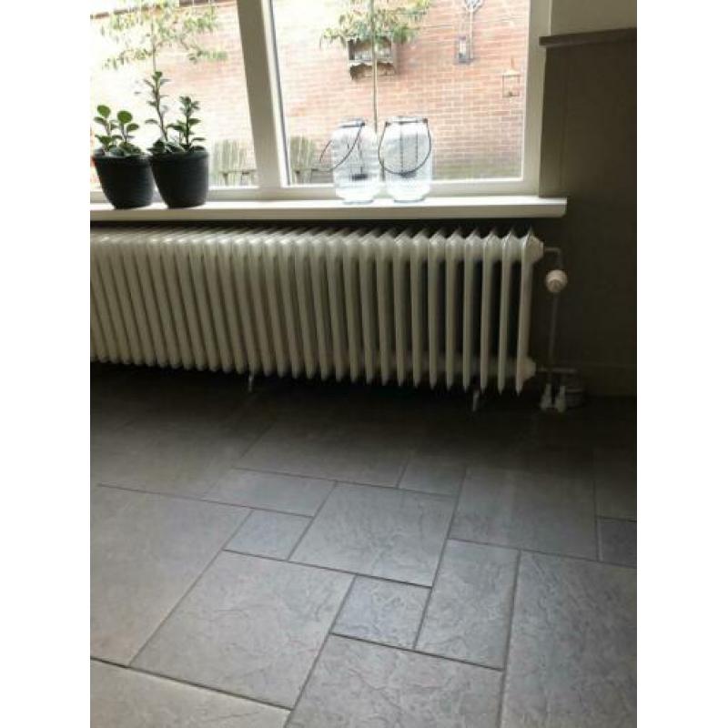 Brugman kolom/ledenradiatoren kleur Ral 9016