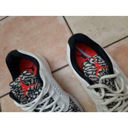 Nike air Jordan maat 40,5