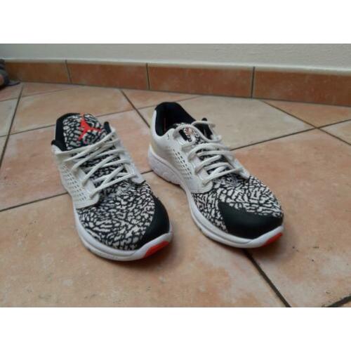 Nike air Jordan maat 40,5