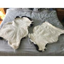 Schapenvachten bontkleur echt, 2 stuks
