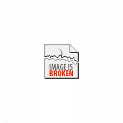 Ford Mustang Mustang 2010 Wit