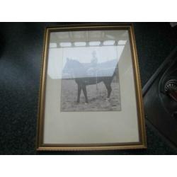 Oude foto in lijst- officier te paard- kma terrein breda