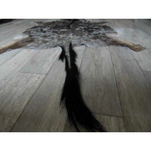 Huid van Afrikaanse Wildebeest ( Gnoe)