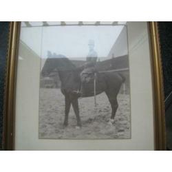 Oude foto in lijst- officier te paard- kma terrein breda