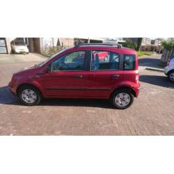 Fiat Panda 1.2 2004 Rood