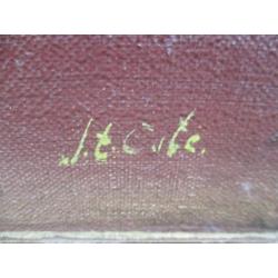 Olie/doek. J. t. Cate. Orchideeën. Oud schilderij.