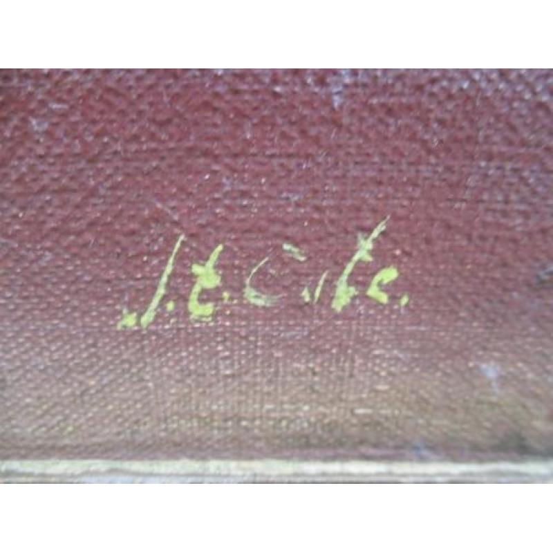 Olie/doek. J. t. Cate. Orchideeën. Oud schilderij.