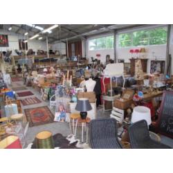 Schilderij Tousain schitterende voorstelling paarden