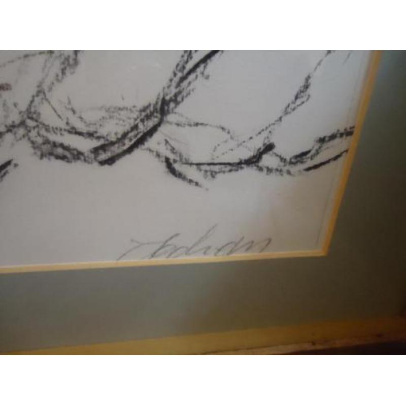 C.. Jochem Den-Haag Grote Tekening