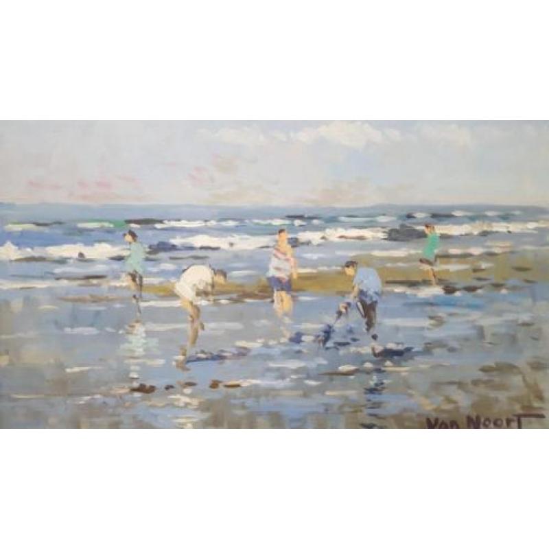 Van Noort