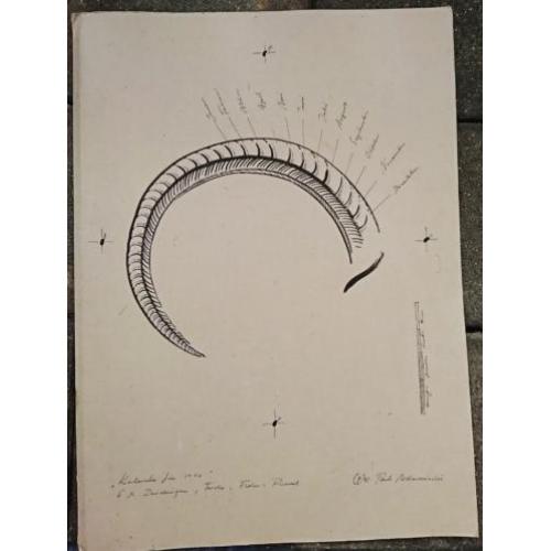 Hand-geschilderd calendar 1996, 6 tekeningen Dieren, Paul ..
