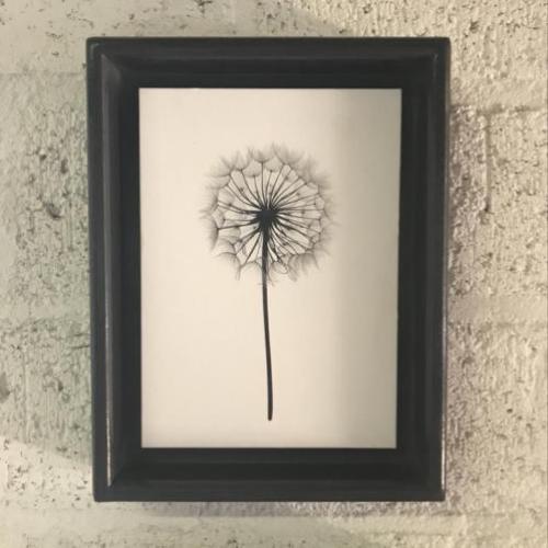 Lijstenmaker in Hagestein