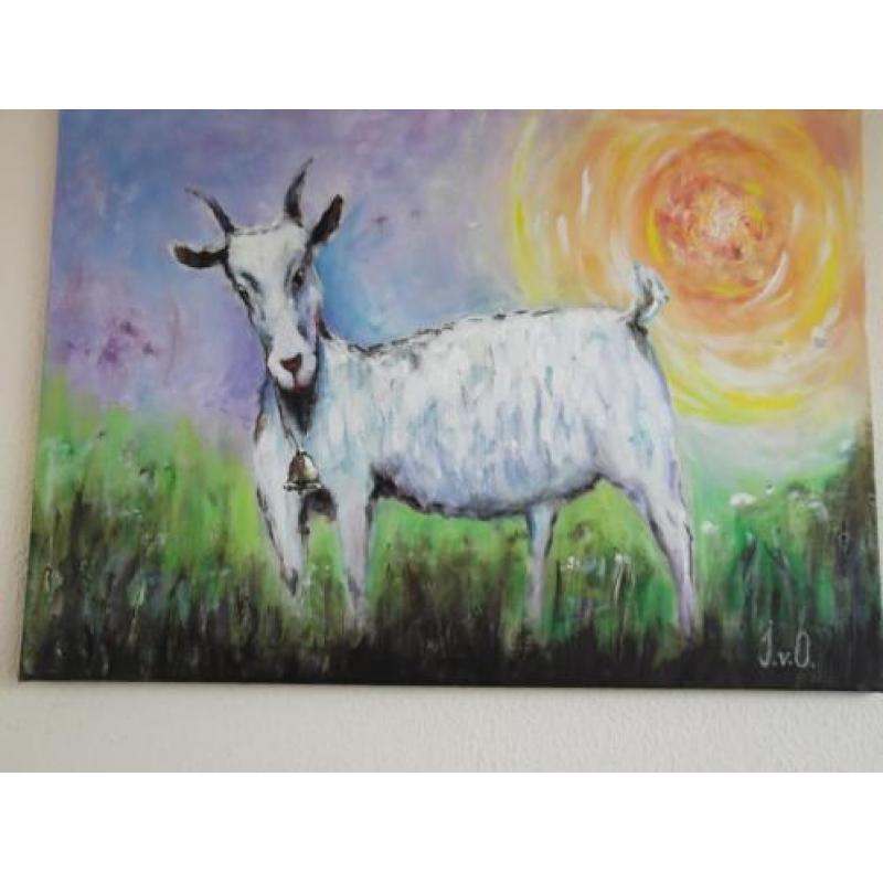 Leuk schilderij Het Kalfje 60x80cm / koe, koeien