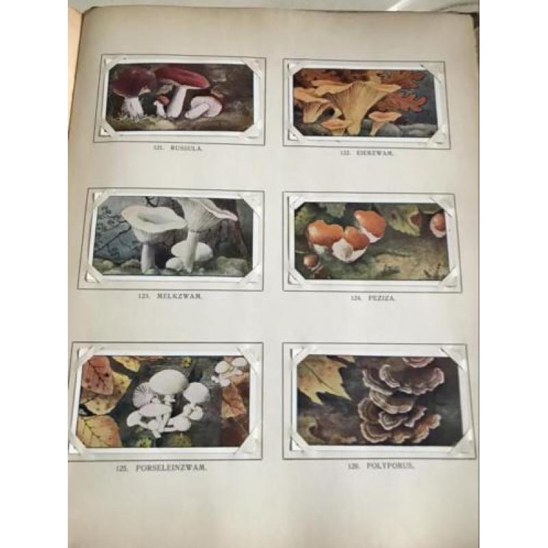 Oud Brocante plakboek J.P. Thijsse Herfst