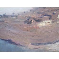 =de Waal bij Tuil===uit 1934=====A J Zwart 1903-1981====