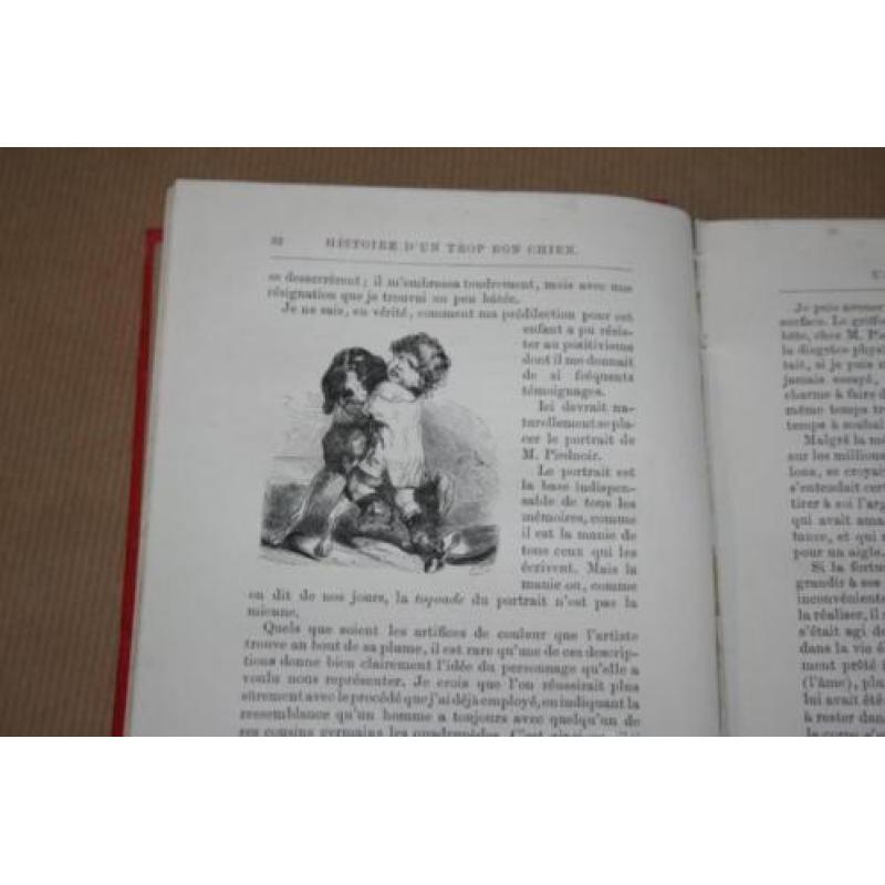 Histoire d'un Trop Bon Chien - de Cherville - 1884 !!