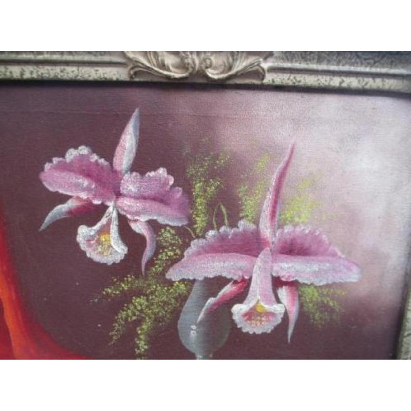 Olie/doek. J. t. Cate. Orchideeën. Oud schilderij.