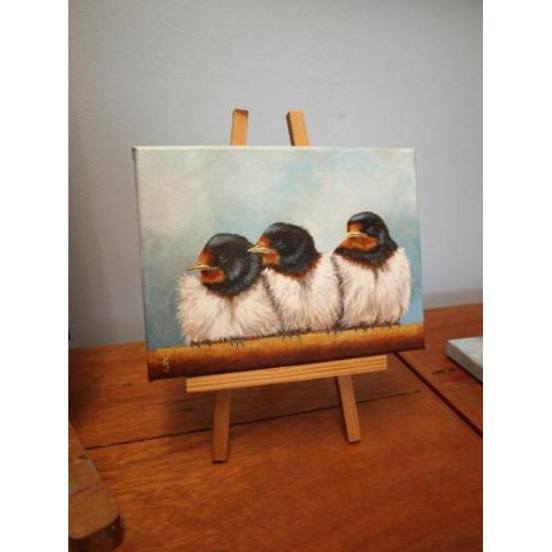 Jonge zwaluwen op rij - eigen atelier - olieverf - vogels