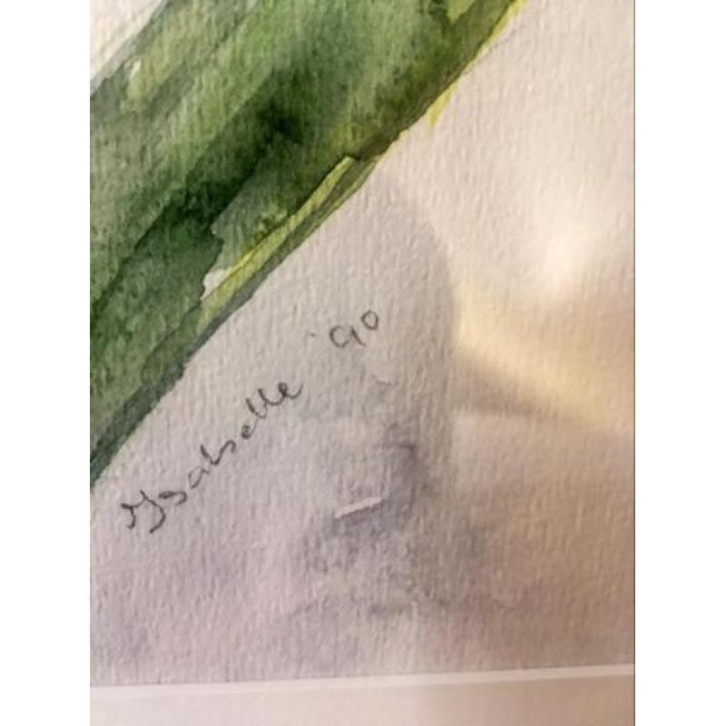 Prachtig schilderij Irissen aquarel