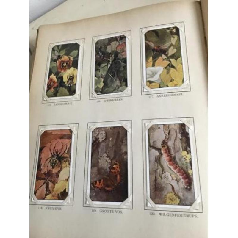 Oud Brocante plakboek J.P. Thijsse Herfst