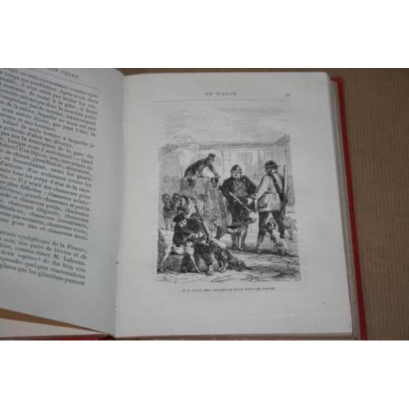 Histoire d'un Trop Bon Chien - de Cherville - 1884 !!