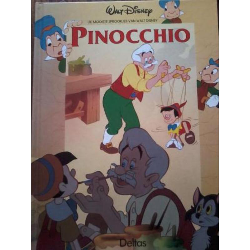 Boek Doornroosje Disney Nieuw ( Jola )