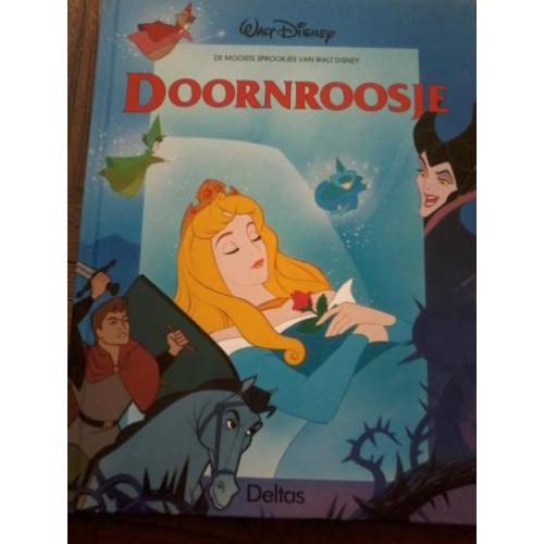 Boek Doornroosje Disney Nieuw ( Jola )