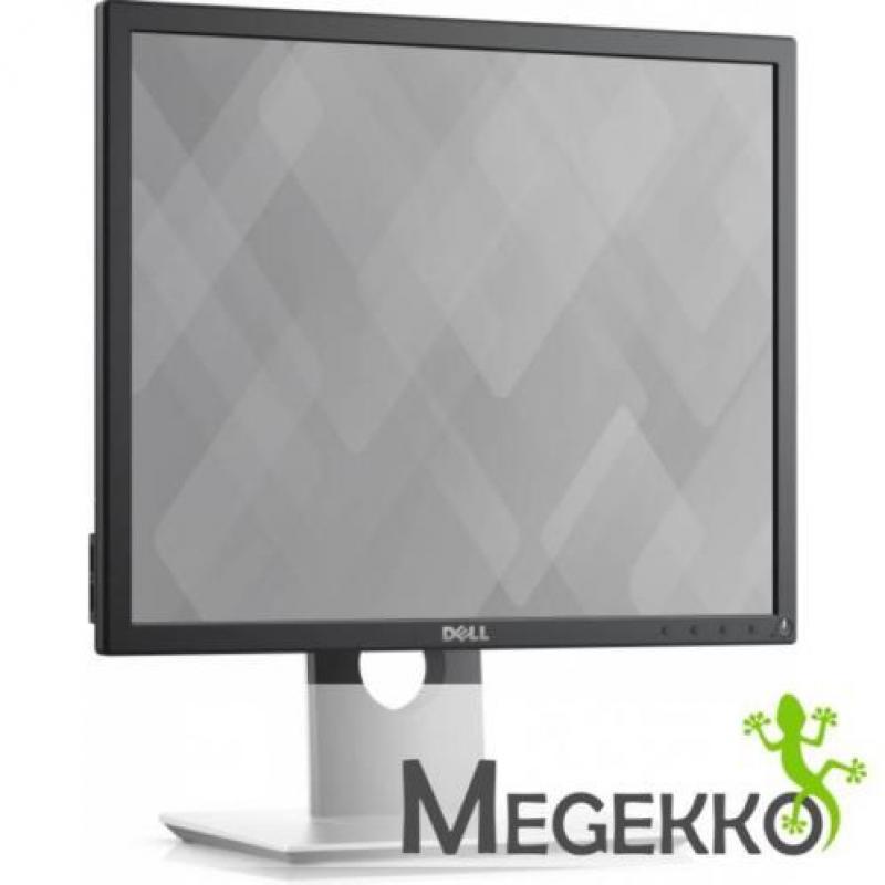 DELL P1917S PC-flat panel