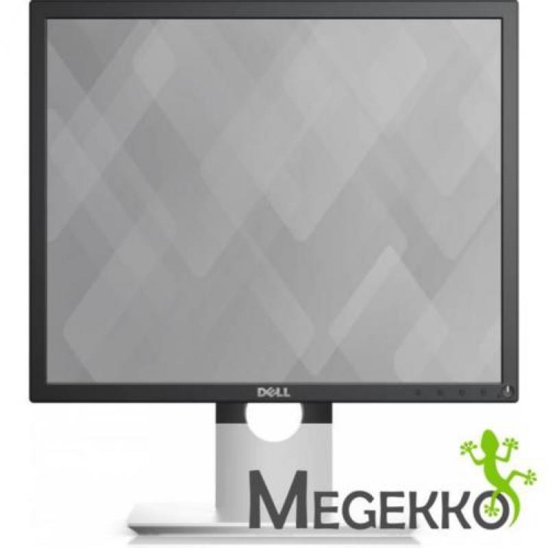 DELL P1917S PC-flat panel