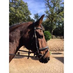 mooie brave ruin Celano X Concorde