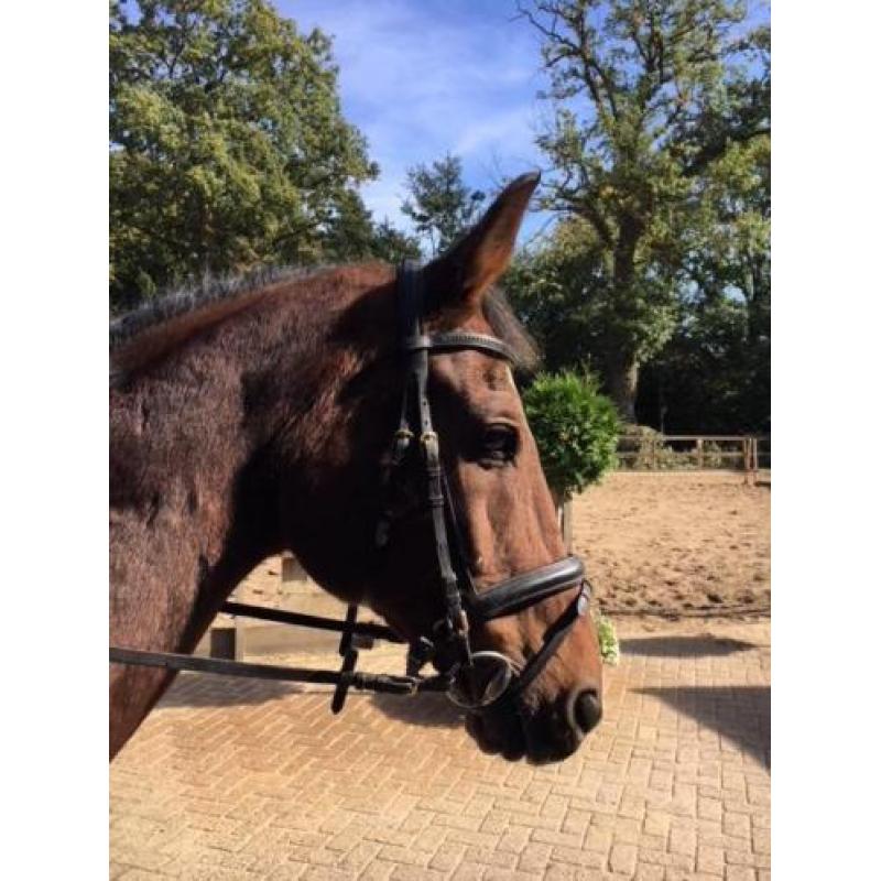 mooie brave ruin Celano X Concorde