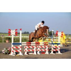 Super brave opvallende spring merrie te koop