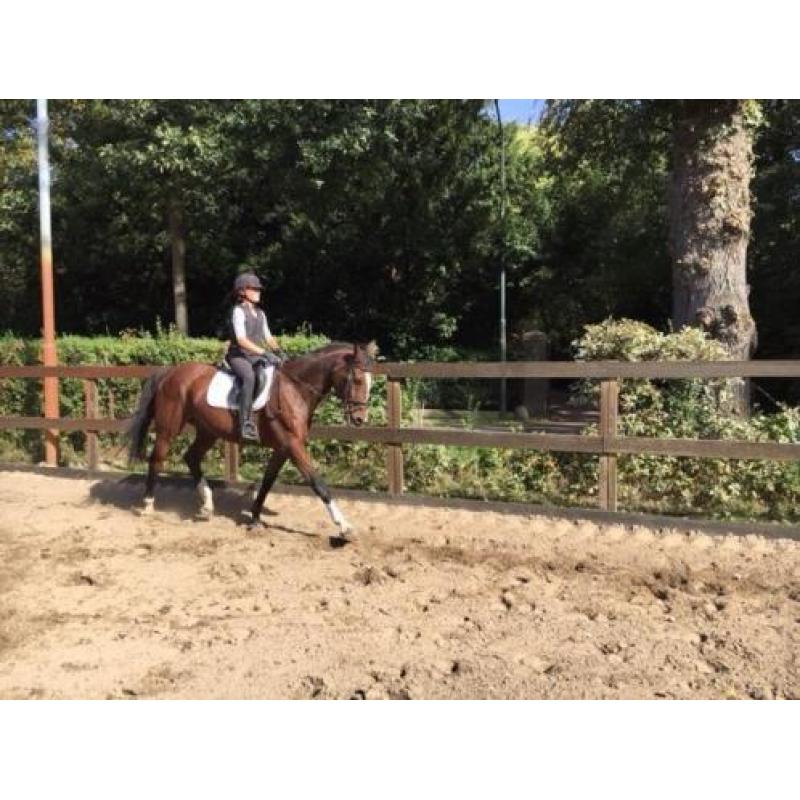mooie brave ruin Celano X Concorde