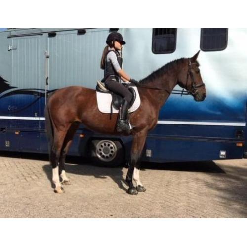 mooie brave ruin Celano X Concorde