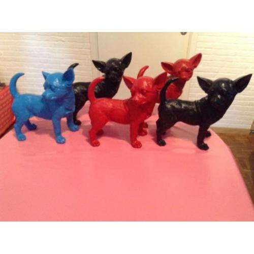 chihuahua, chiwawa,beeld diverse kleuren nu 16.75eu