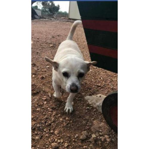 Oudje Lola ter Adoptie