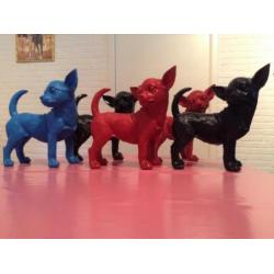 chihuahua, chiwawa,beeld diverse kleuren nu 16.75eu