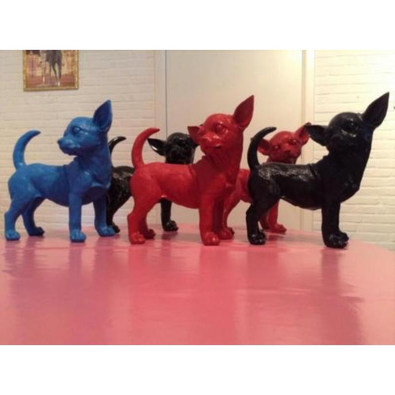 chihuahua, chiwawa,beeld diverse kleuren nu 16.75eu
