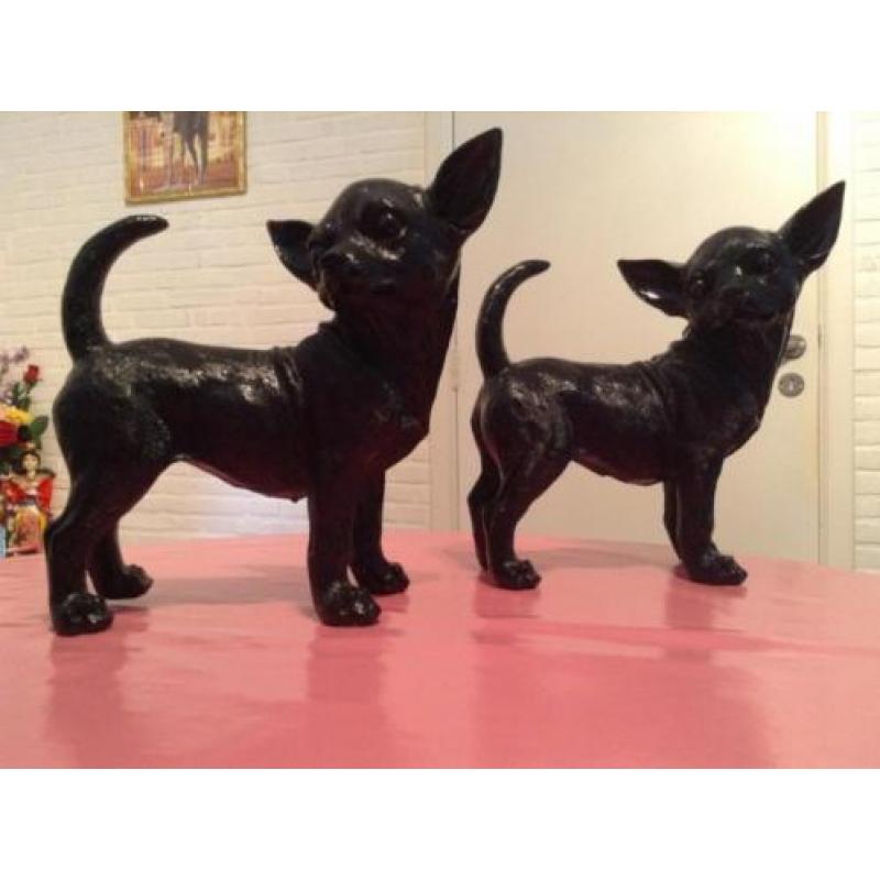 chihuahua, chiwawa,beeld diverse kleuren nu 16.75eu