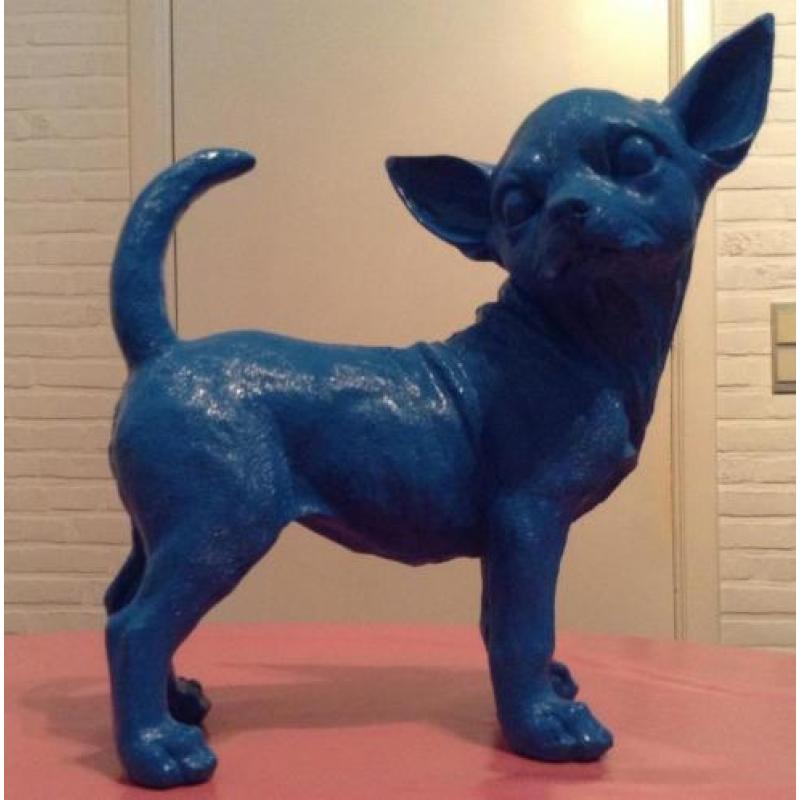 chihuahua, chiwawa,beeld diverse kleuren nu 16.75eu