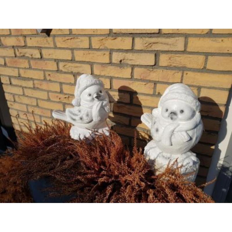Leuke winter vogel 40 cm