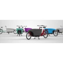Dolly Bikes Bafang frontwheelmotor 250W Nexus 8
