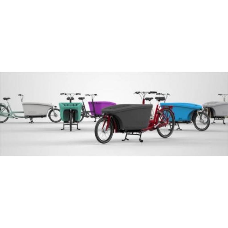 Dolly Bikes Bafang frontwheelmotor 250W Nexus 8